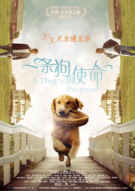 亚洲欧美不卡视频